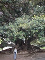 DSC08435