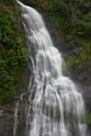 IMG_5555