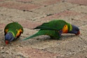 IMG_6672