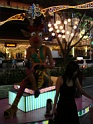 DSC00160