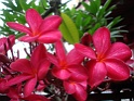 DSC00228