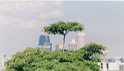 arbrebuilding