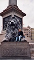 SabLion