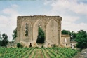 ruineStEmilion
