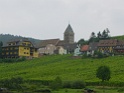 DSC08537