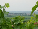 DSC08563