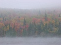 DSC09337