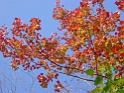 DSC09362