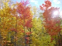 DSC09408