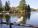 DSC09448
