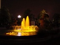 DSC09539