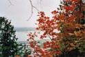 ca32