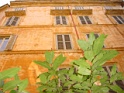 DSC06758