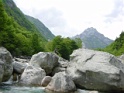 DSC04989