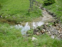 DSC02537