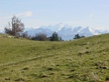 DSC03947