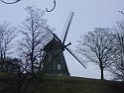 DSC04232