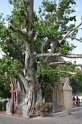 IMG_0227