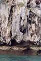 andaman7