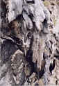 andaman8