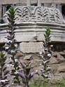 DSC05644