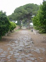 DSC05726