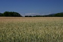 IMG_2338