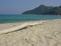 DSC06304