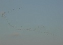 DSC06308