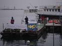DSC00503