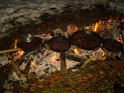 DSC00644