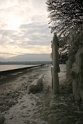 IMG_3564