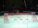 DSC01474