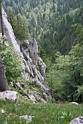 IMG_3661