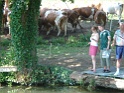 DSC01701
