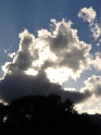 DSC02290