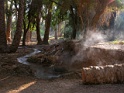DSCN2485