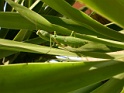 DSCN2489