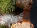 DSCN2534