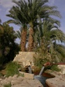 DSCN2535