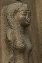 IMG_5113