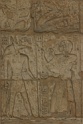 IMG_5140