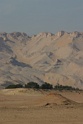 IMG_5593