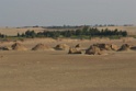 IMG_5602