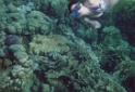 m35