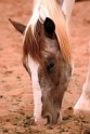 IMG_6513b