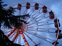 DSC00557