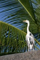 IMG_8087