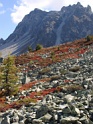 DSC05807
