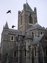 DSC06150